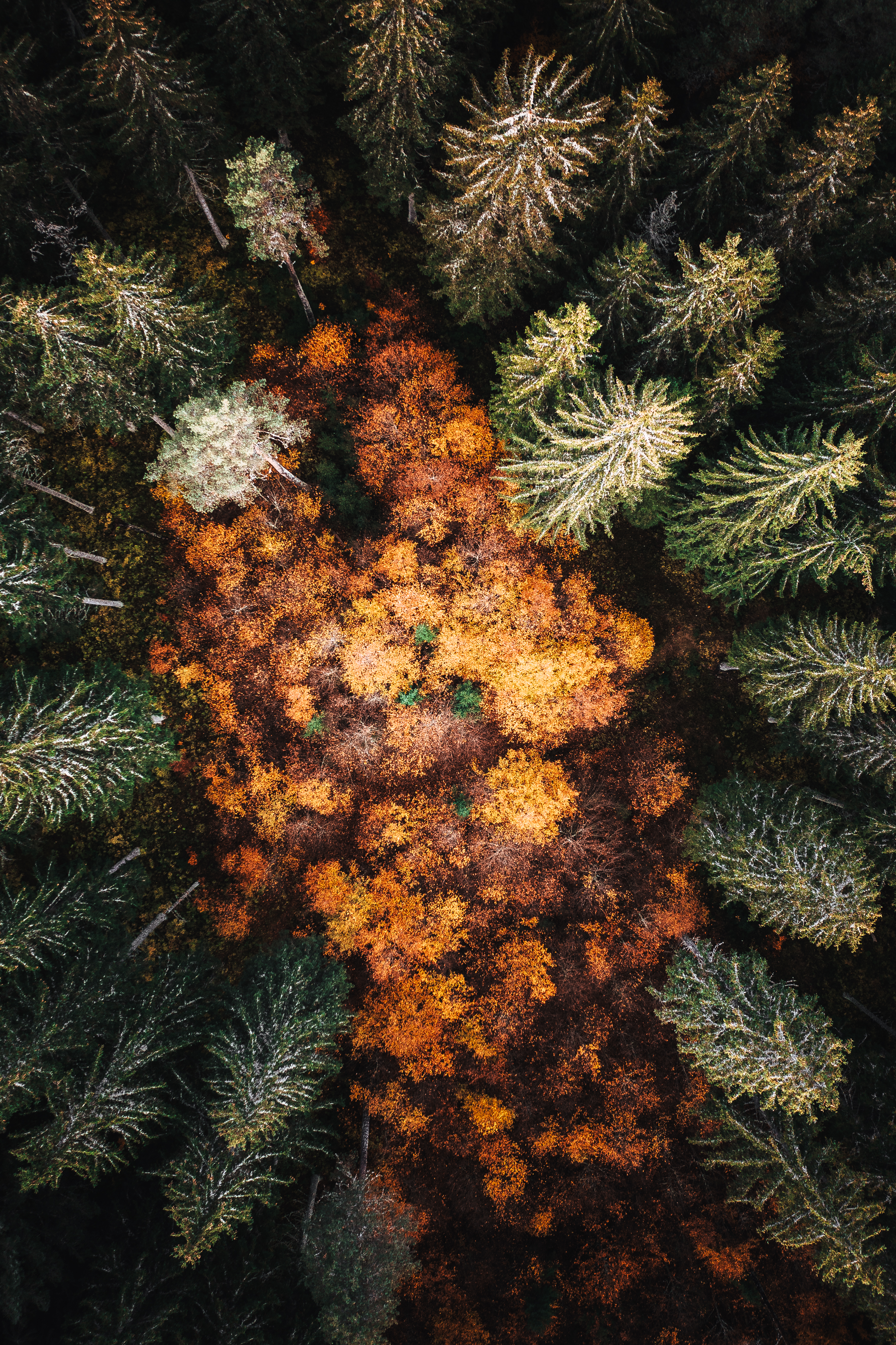 Build fast Kirby projects with reusable blueprints